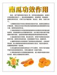南瓜功效海报