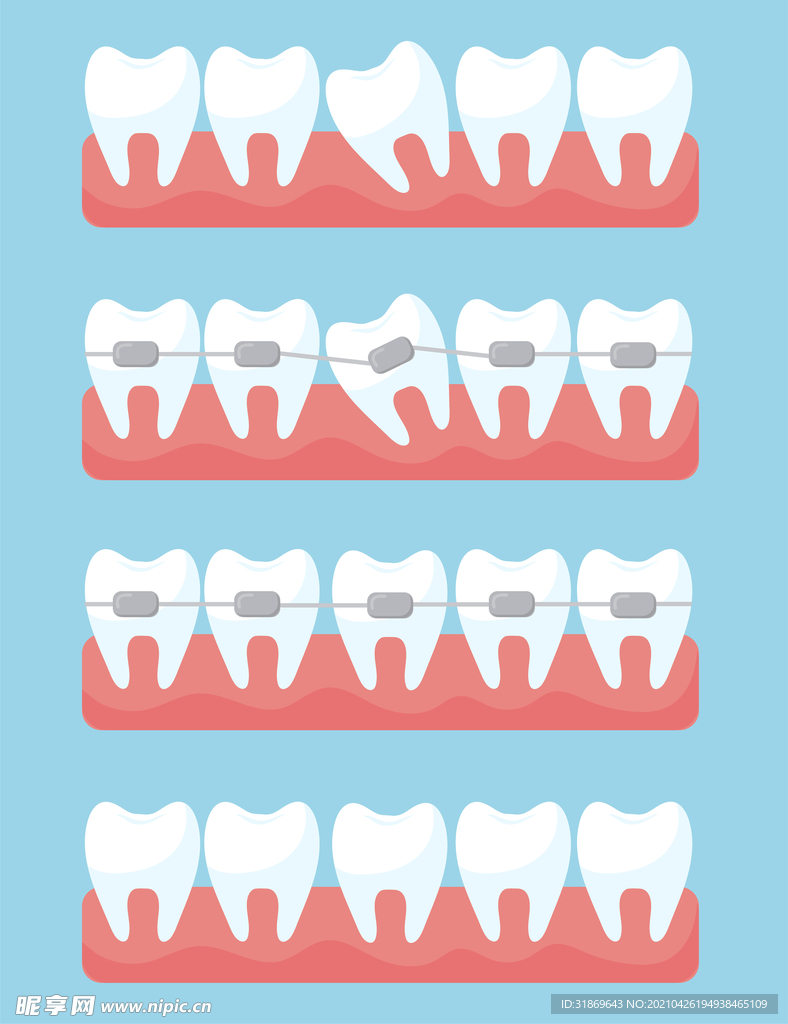牙齿 口腔 医科       