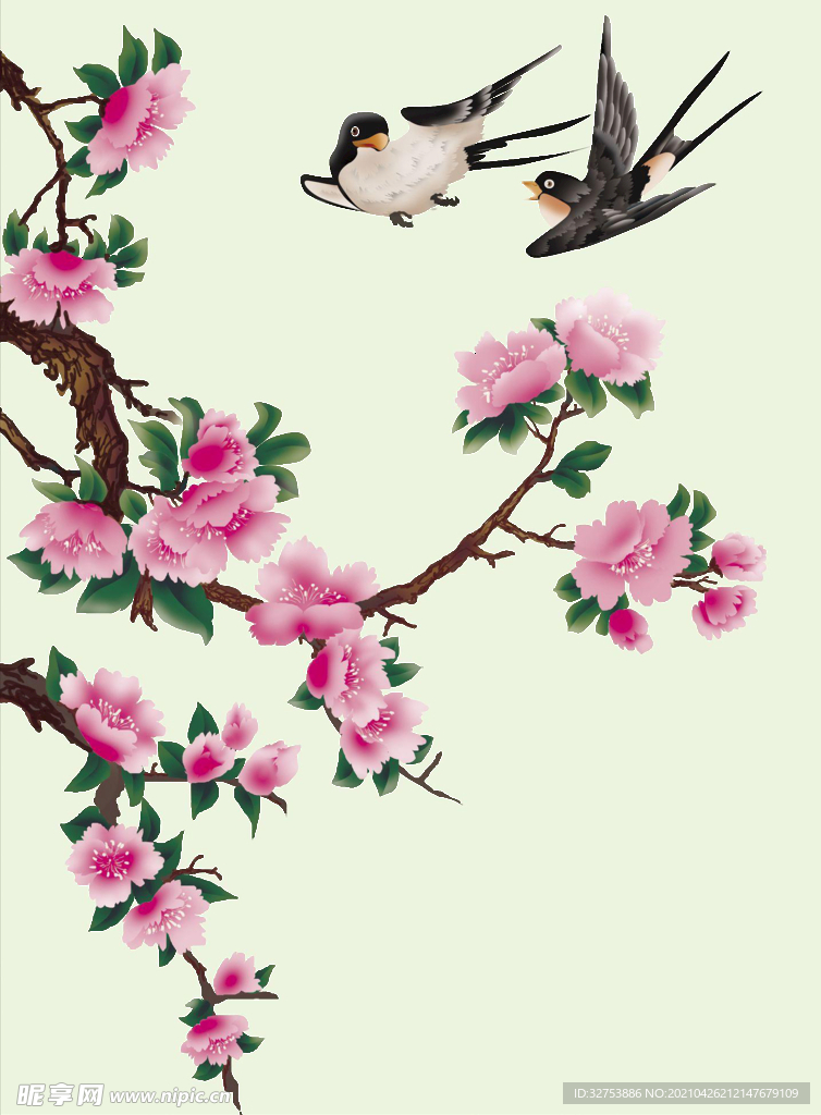 牡丹花