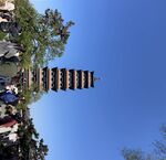 扬州 建筑 蓝天  树  旅游