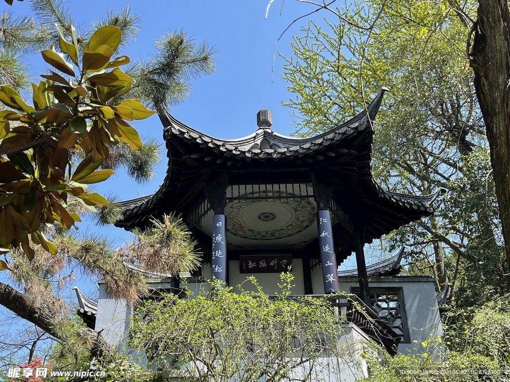 扬州 建筑 蓝天  树  旅游