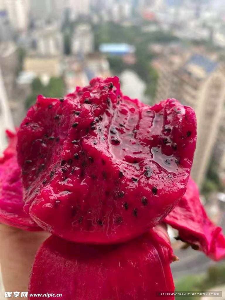 火龙果