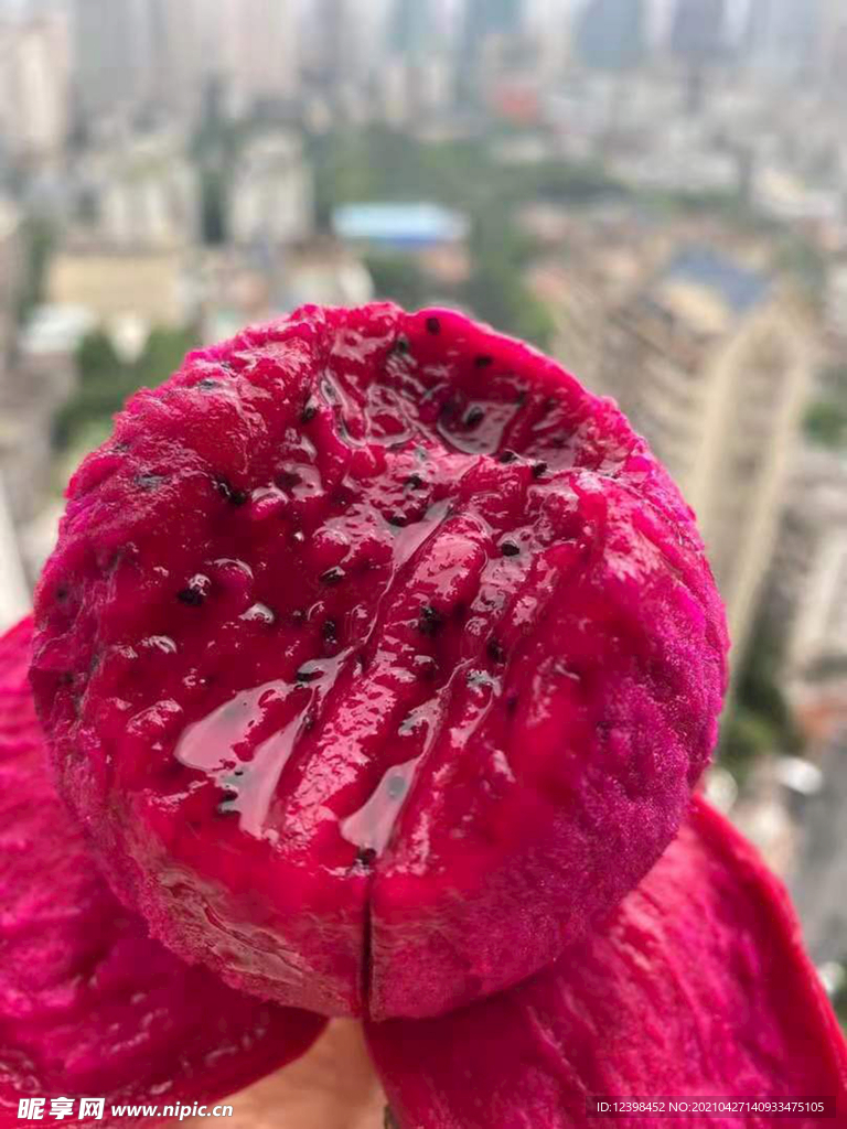 火龙果
