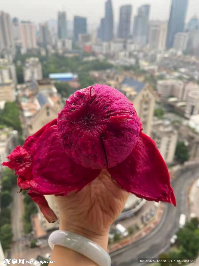 火龙果