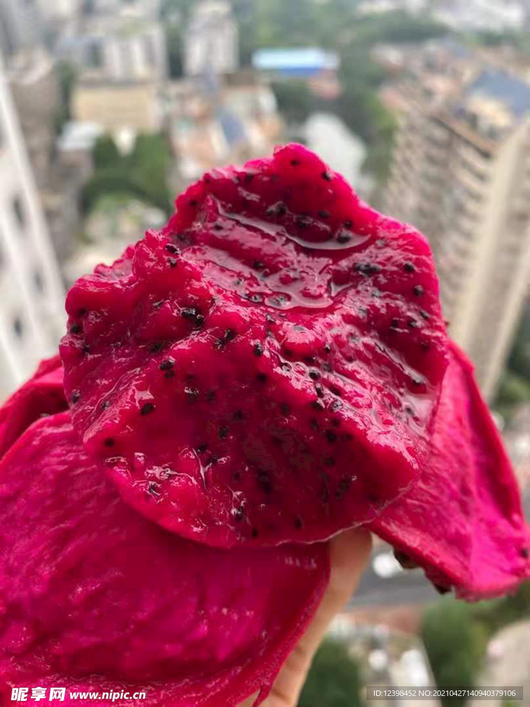 火龙果
