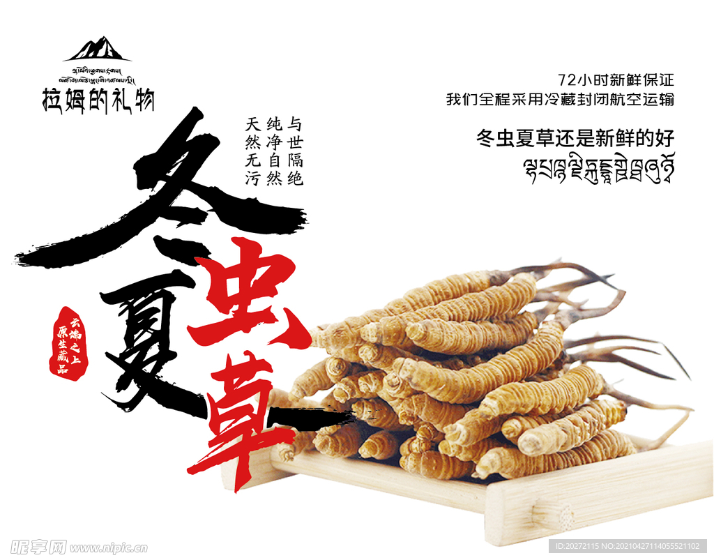 冬虫夏草