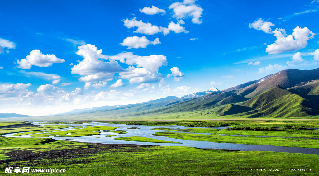 美丽的草原风景