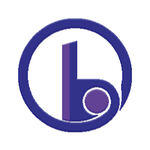 b字母logo