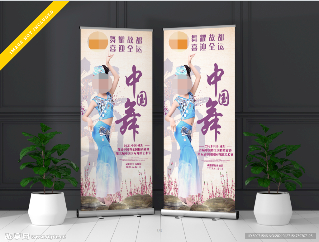 中国舞展架  