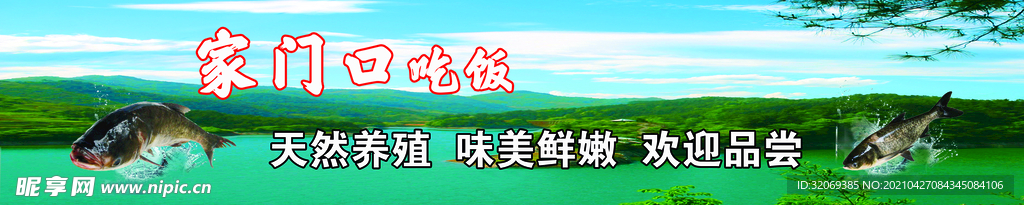 水库 自然 健康 鱼 宣传