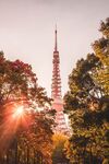 逆光的日本东京塔