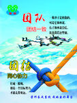 团队