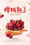 樱桃 
