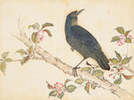 余曾三国画 百花鸟图