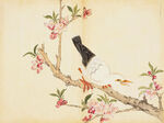 余曾三国画 百花鸟图