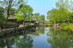 蓝天下美丽的水乡风景