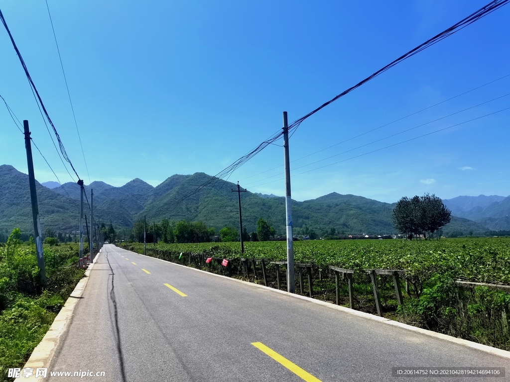 蓝天下的乡村道路风景