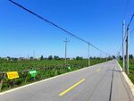 空荡荡的道路风景
