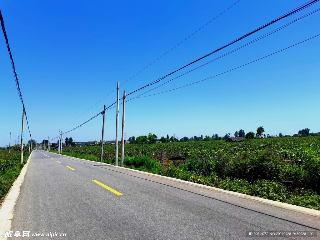 空荡荡的乡村道路风景