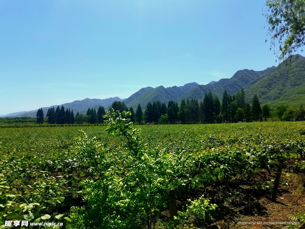 蓝天下的乡村美景