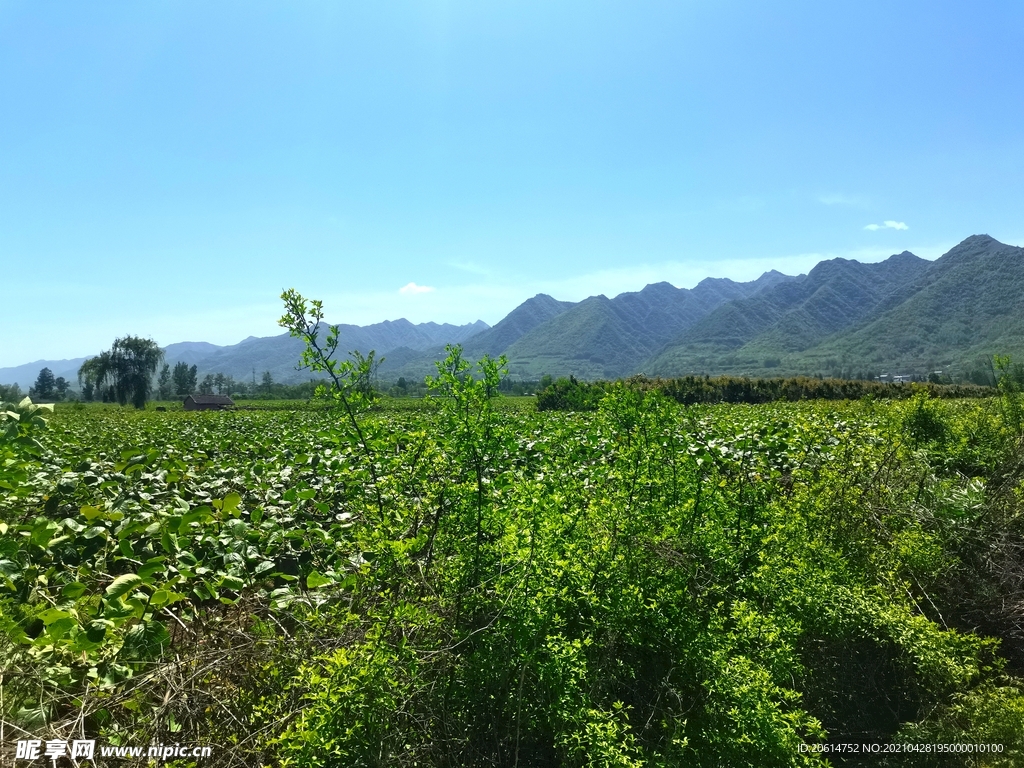 美丽的乡村风景