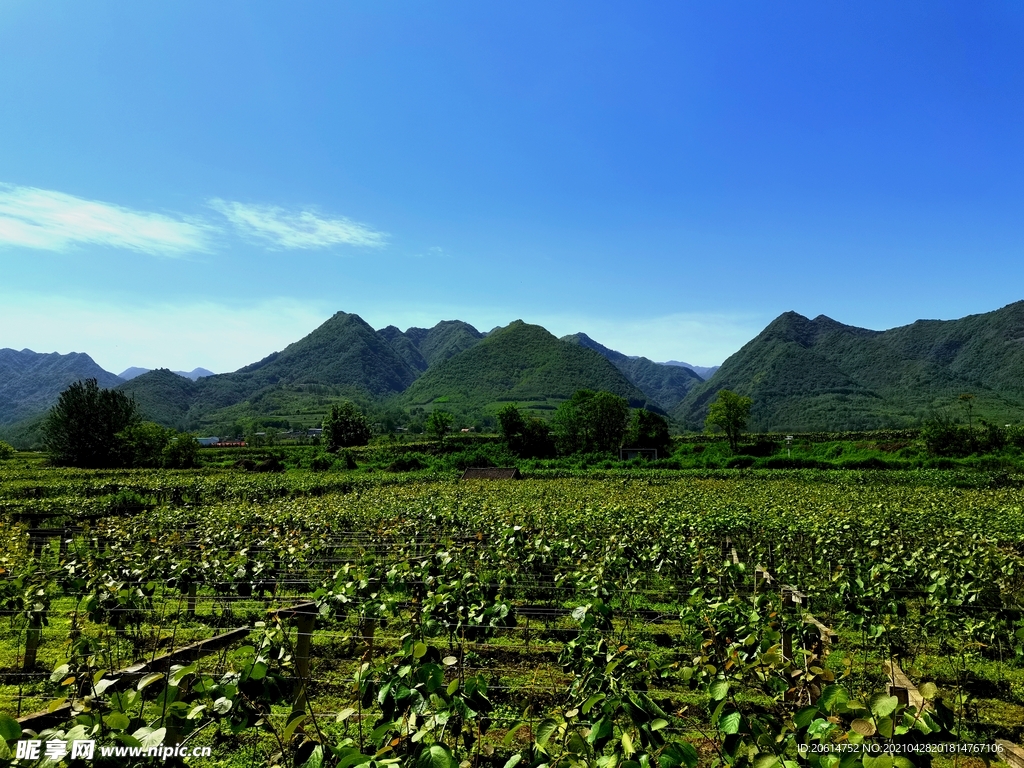 蓝天下的乡村美景