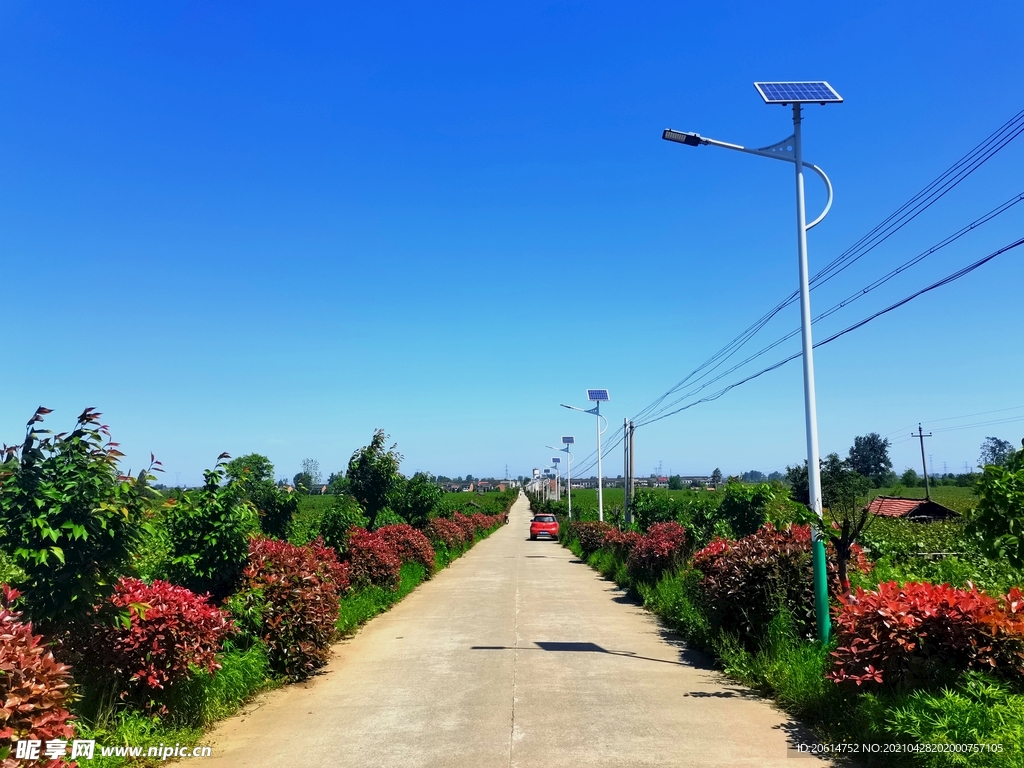 蓝天下的乡村道路风景