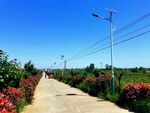 空荡荡的乡村道路