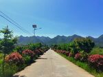 蓝天下的乡村道路风景