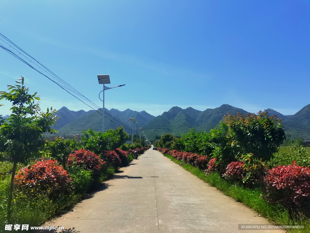 蓝天下的乡村道路风景