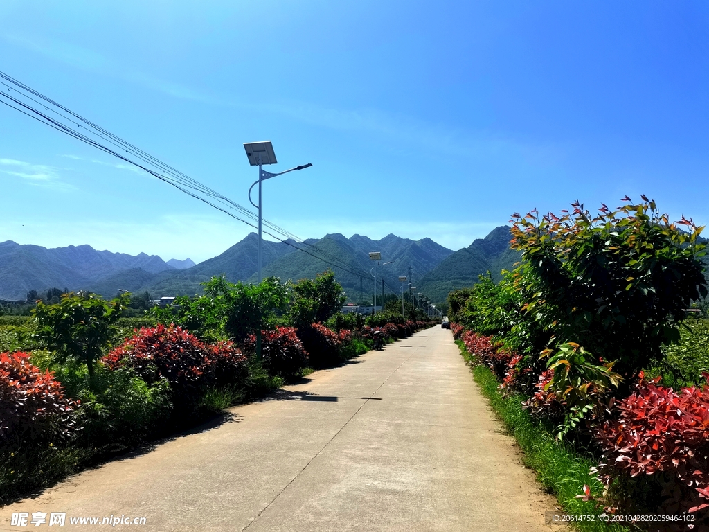 美丽的乡村风景