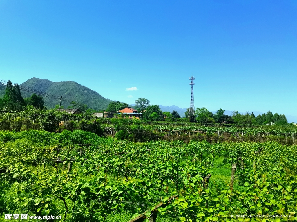 蓝天下的乡村风景