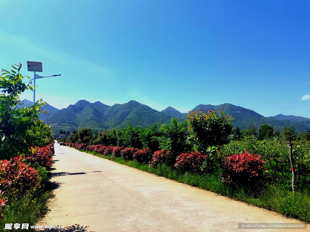 蓝天下的乡村风景