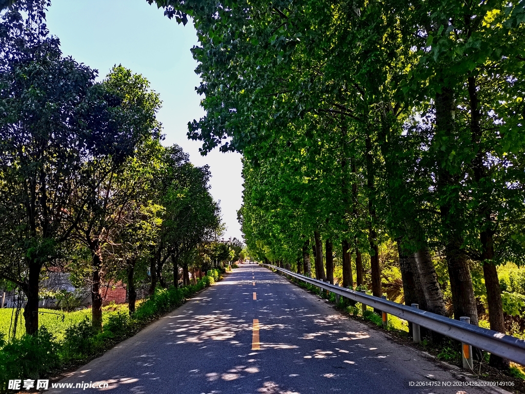 空荡荡的乡村道路风景