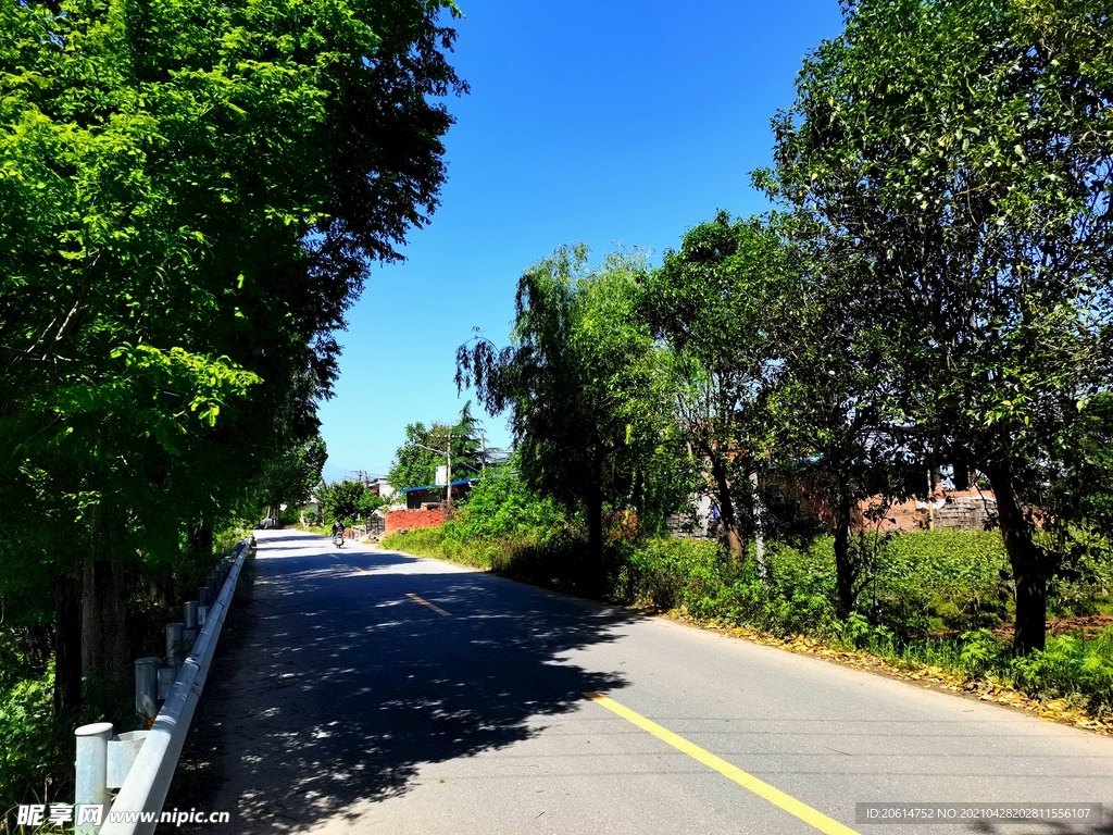 空荡荡的乡村道路风景