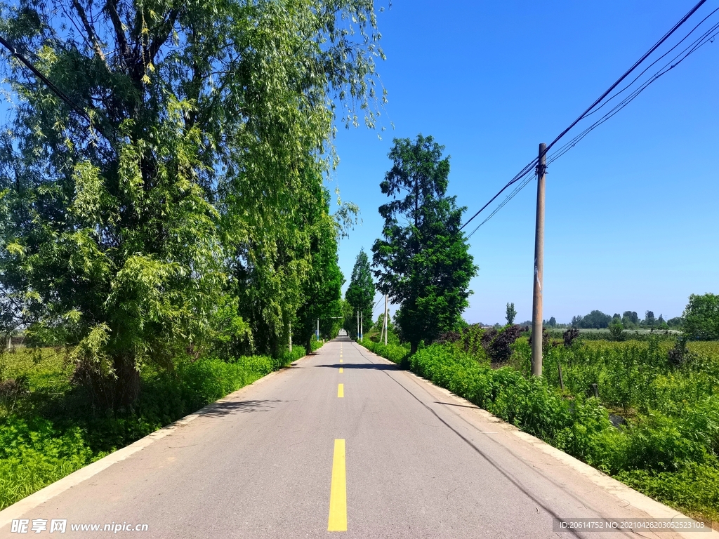 蓝天下的乡村道路风景