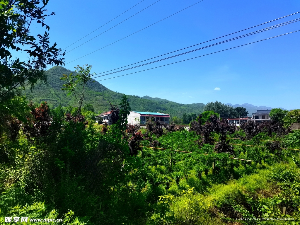 蓝天下的大山风景