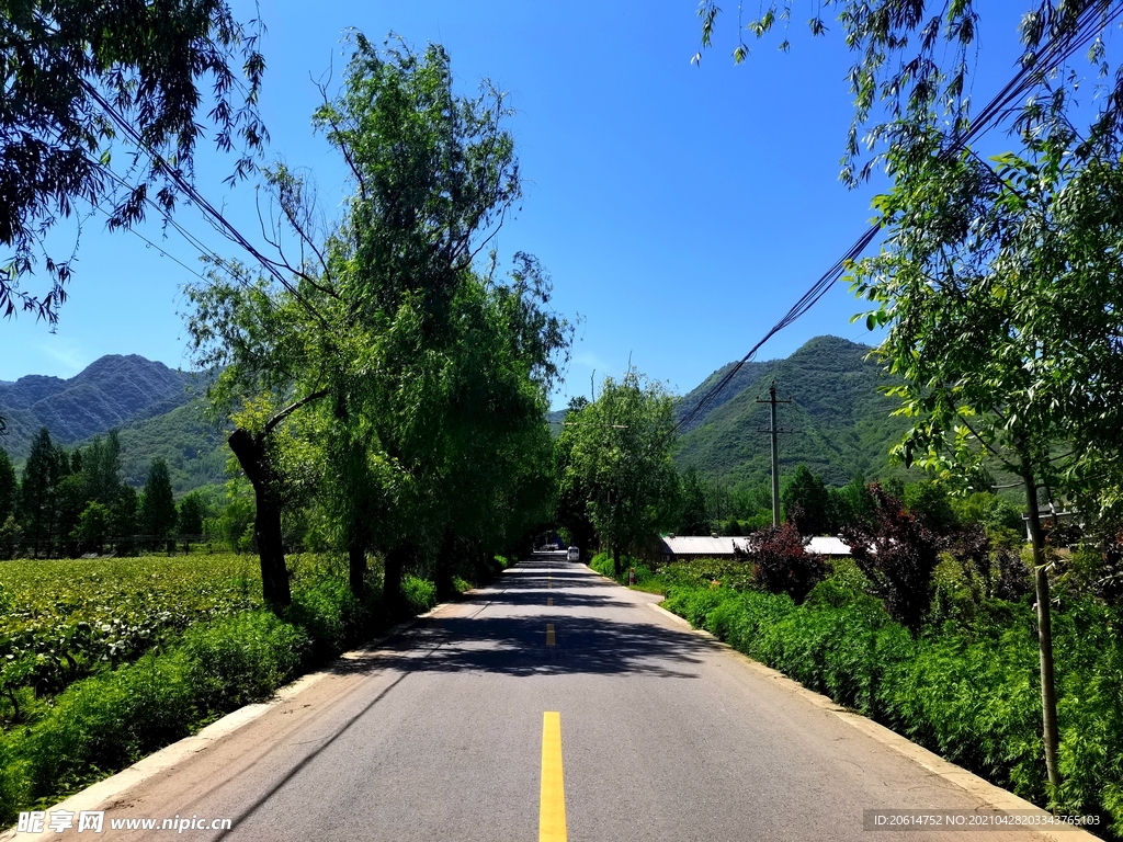 蓝天下的乡村美景