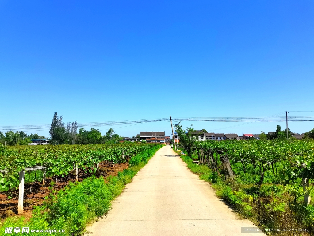 蓝天下的乡村道路风景