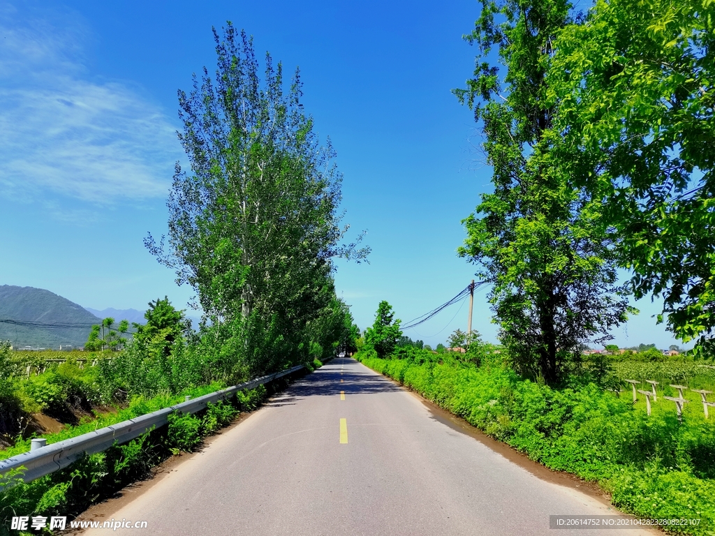 蓝天下的乡村道路风景