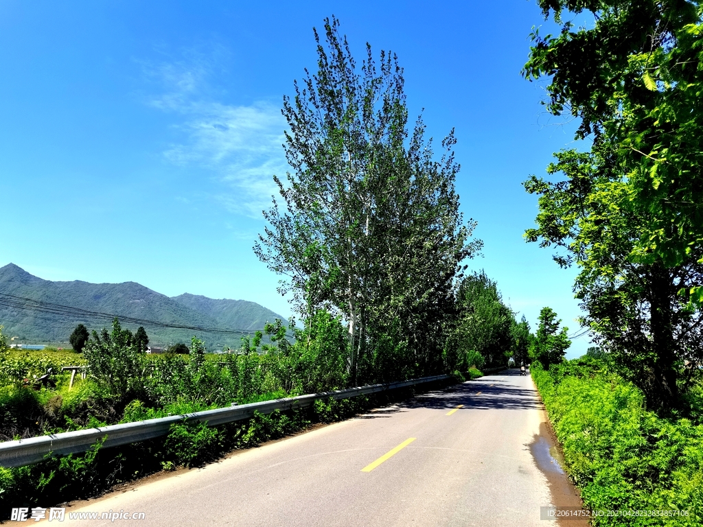 蓝天下的乡村道路风景