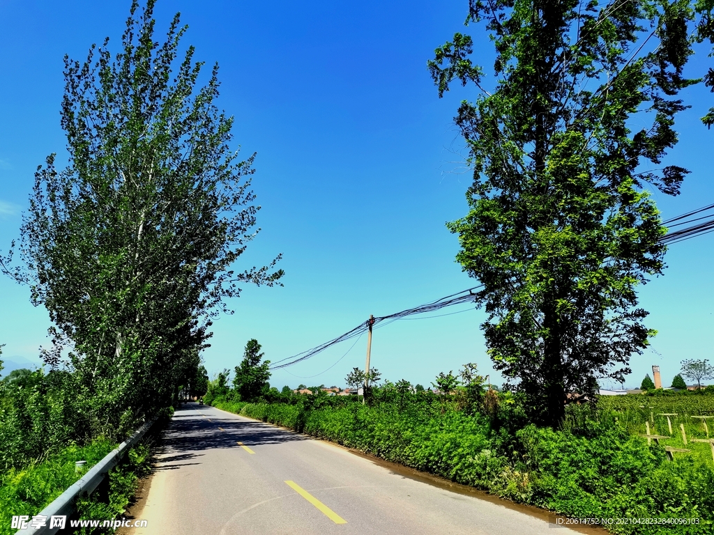 空荡荡的乡村道路风景