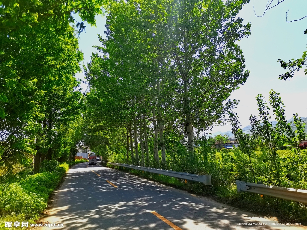 空荡荡的乡村道路风景