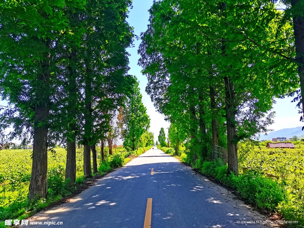 空荡荡的乡村道路风景