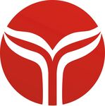 字母y的标志