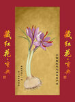 藏红花海报