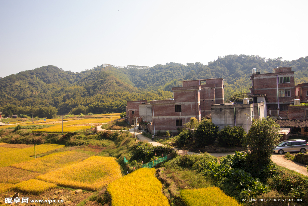 丰收田园