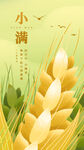 小满