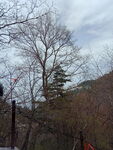 华山