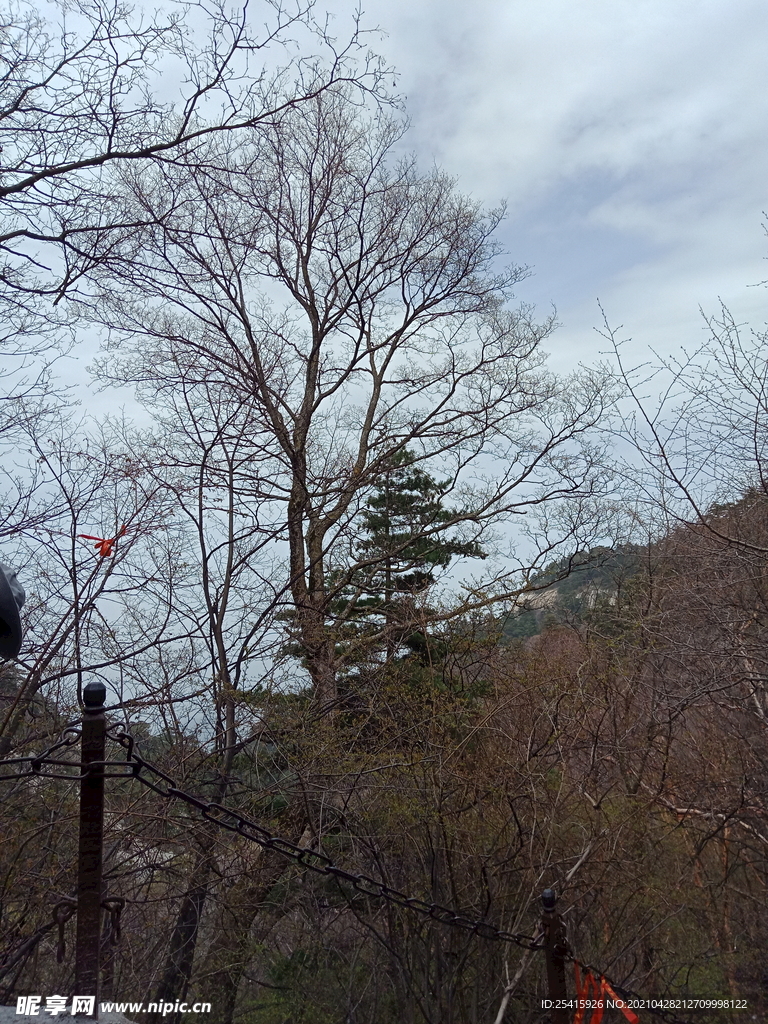 华山